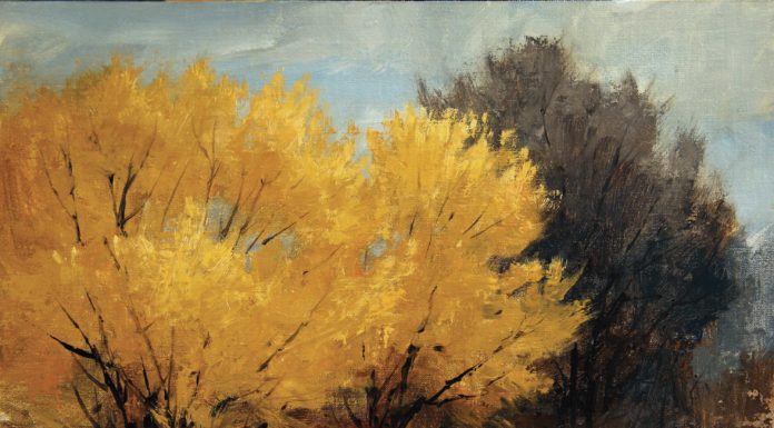 Peggy Immel, "Spring Willows," 2019, oil, 9x 12 in., Collection the artist, Plein air
