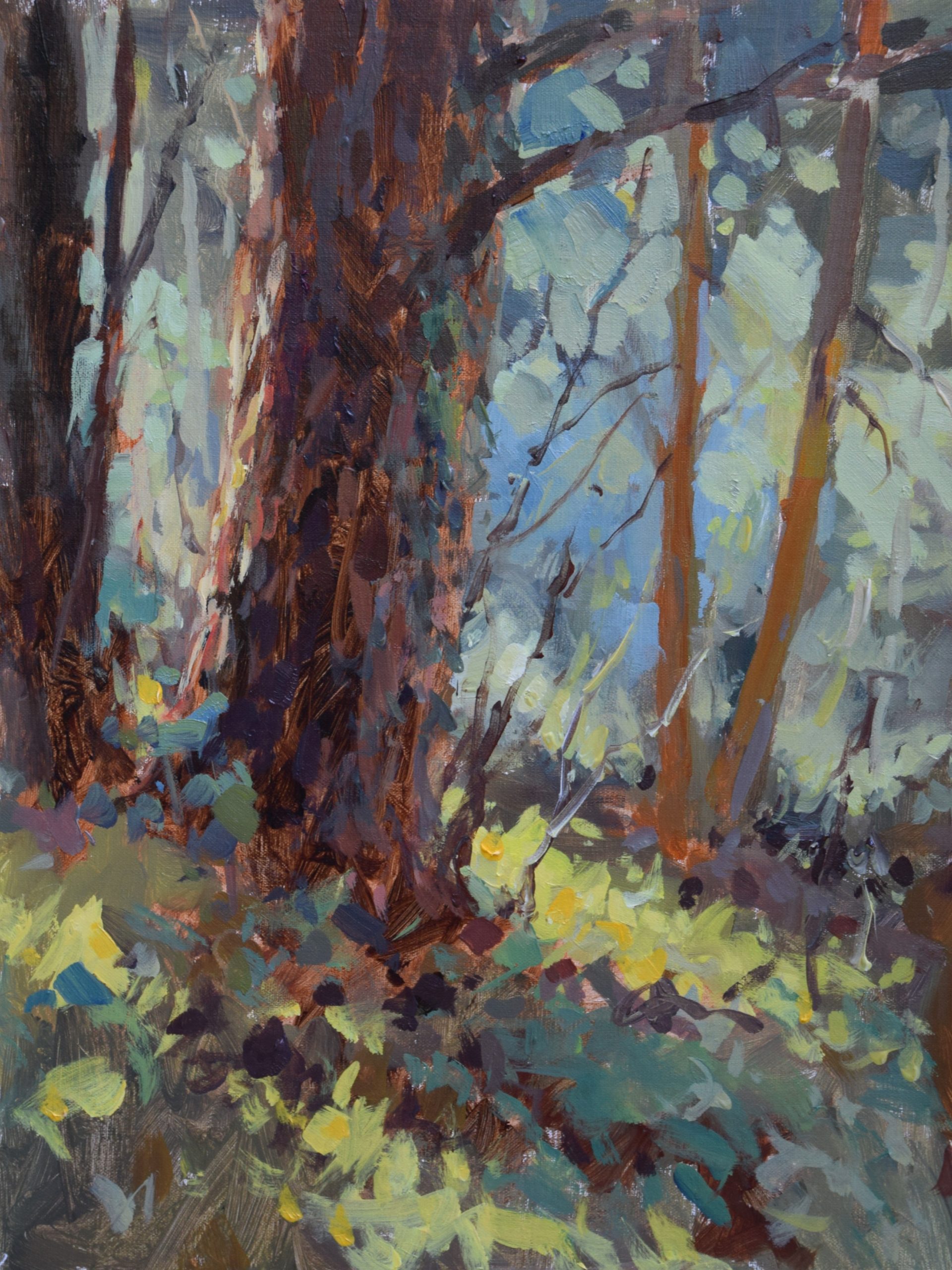 Jed Dorsey, "Of Sun & Shadows," 2019, acrylic, 18 x 24 in., Collection the artist, Plein air