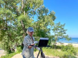 Plein Air Tips - Carrie Curran, painting the Indiana Dunes