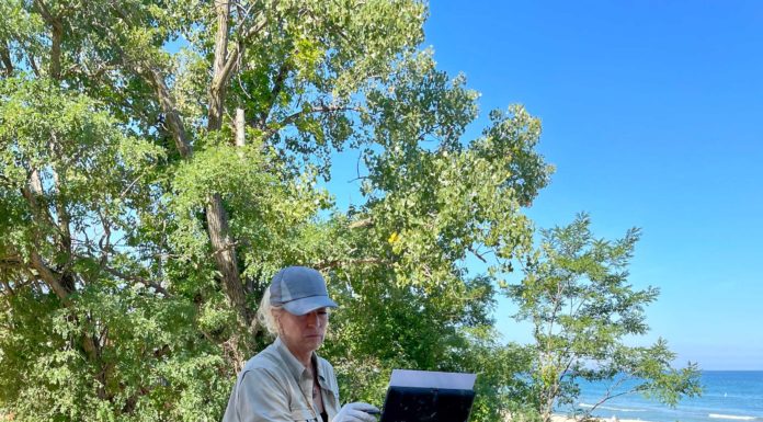 18 Plein Air Tips for Beginners Plein Air Tips - Carrie Curran, painting the Indiana Dunes