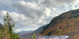 Fall Landscape Paintings Melanie Barash Levitt