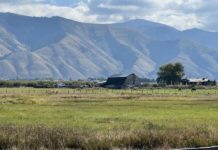 A Plein Air Competition in a Painter’s Paradise Star Valley plein air 2022