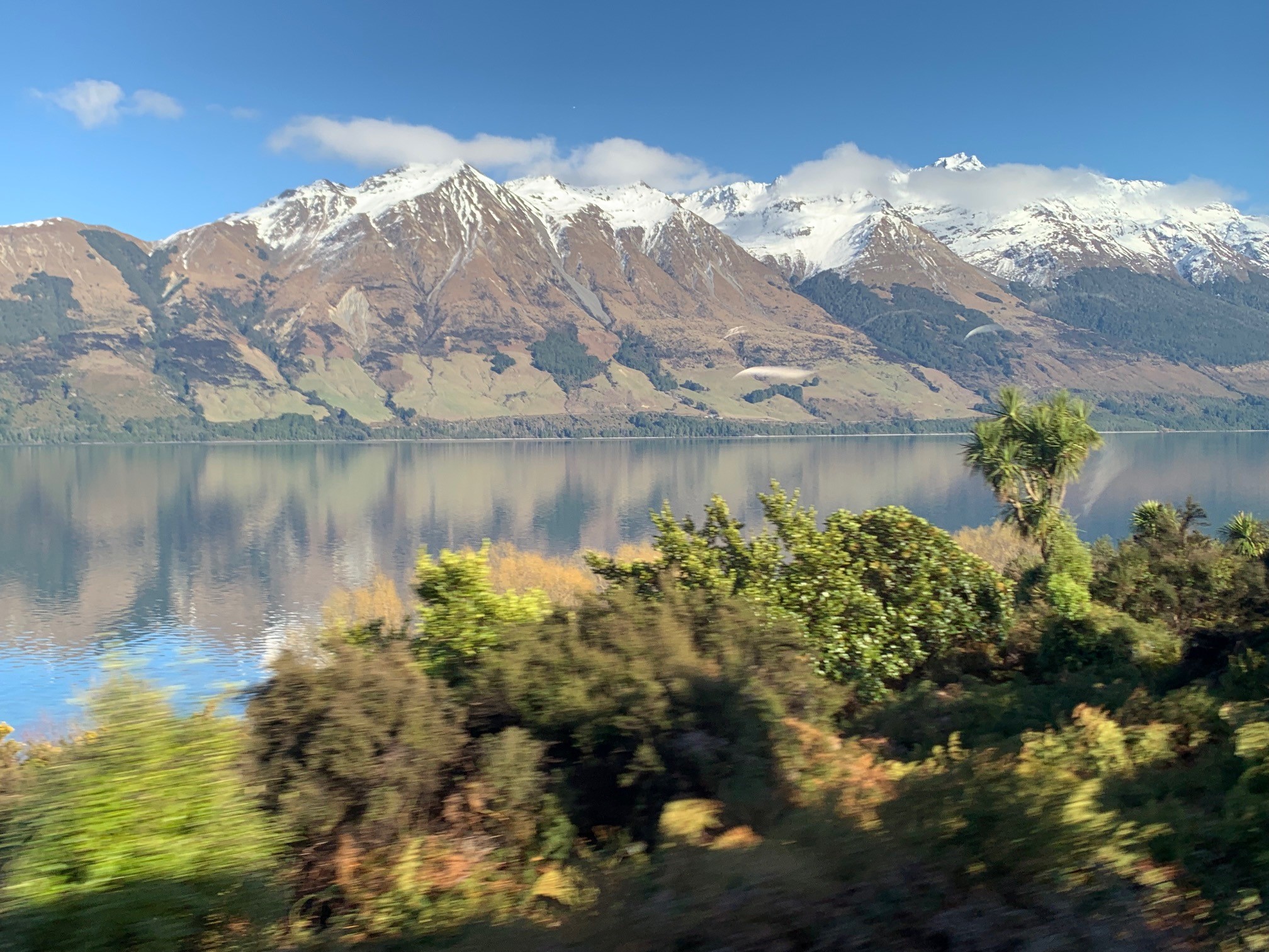 The New Zealand painting trip offered an incredible buffet of scenes