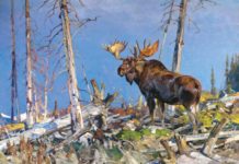 Are Your Colors Too Hot? Painting of a moose