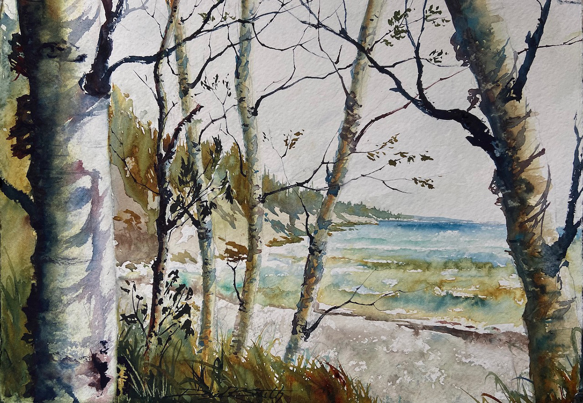 watercolor painting on birch trees surrounding the frame with an ocean view in the distance
