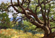 SLOPE plein air painters - Dotty Hawthorne, "Alluring Light On Spreading Oak," pastel, 11 x 14 in.