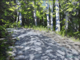 oil painting of roadway during summer, with shadows of trees on the ground