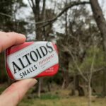 Can Altoids Help You Paint Better? altoids mints focus plein air painting tips