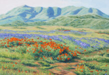 “Carrizo, Washburn Wildflowers II,” oil on canvas, 22” x 28” by Laurel Sherrie
