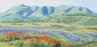 “Carrizo, Washburn Wildflowers II,” oil on canvas, 22” x 28” by Laurel Sherrie