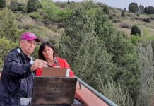 Eric Rhoads working with a painter; one of the benefits of PACE is learning from each other on the spot.