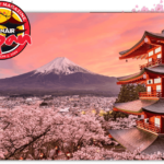 art and painting retreats Japan Cherry Blossoms