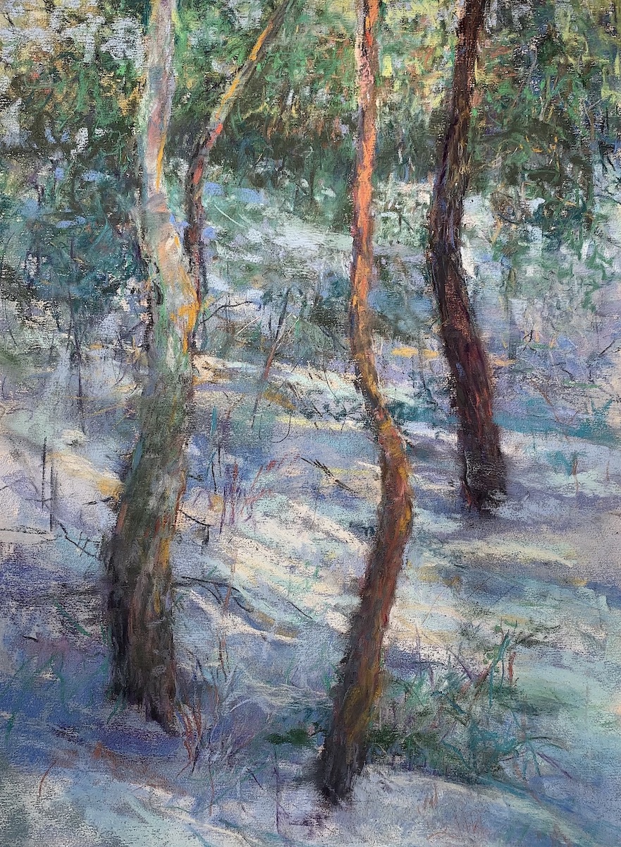 plein air pastel painting - Tom Bailey, “Bow To Your Partner,” pastel, 16 x 20 in.