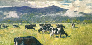Painting of Cows - Richard Oversmith, "Morning Graze," oil on linen, 48 x 68 in.