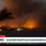 Maui wildfires