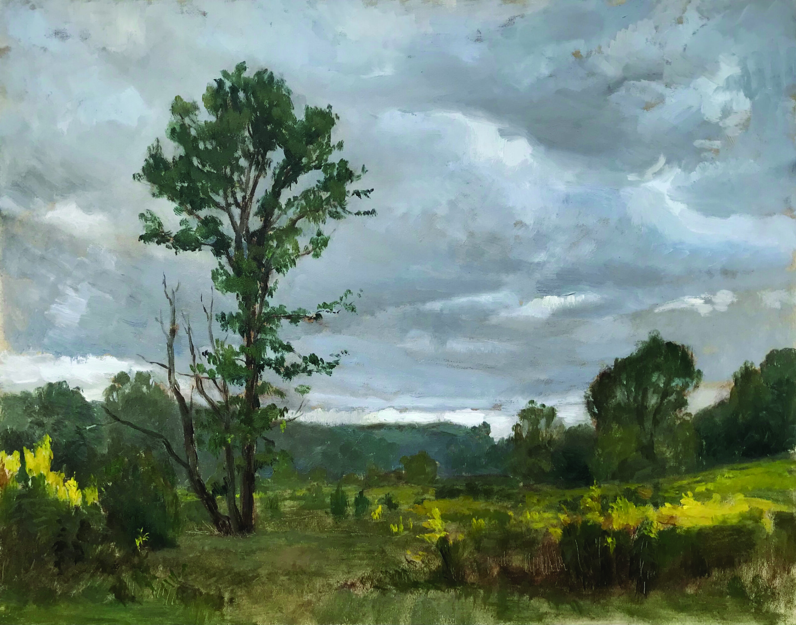 Mary Jane Ward, “Overcast Skies at Highbanks,” 2021, oil, 11 x 14 in., Collection the artist, Plein air