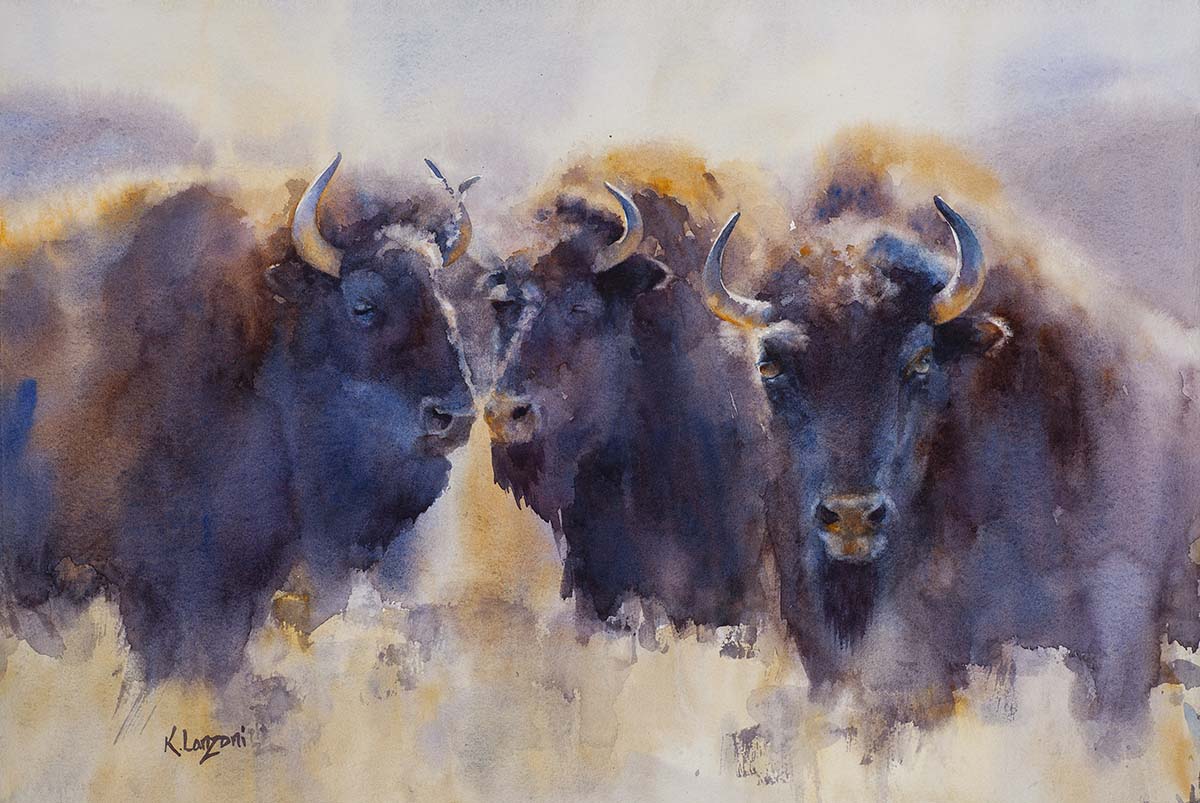 watercolor painting of a group of buffalo standing and looking at the viewer