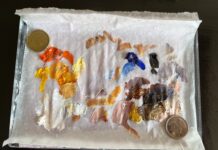 loonies and toonies for painting en plein air