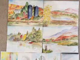 Alice Payne's collection of plein air studies from Fall Color Week
