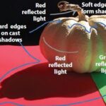 Art Snippet: Know Your Shadow Types watercolor painting shadows