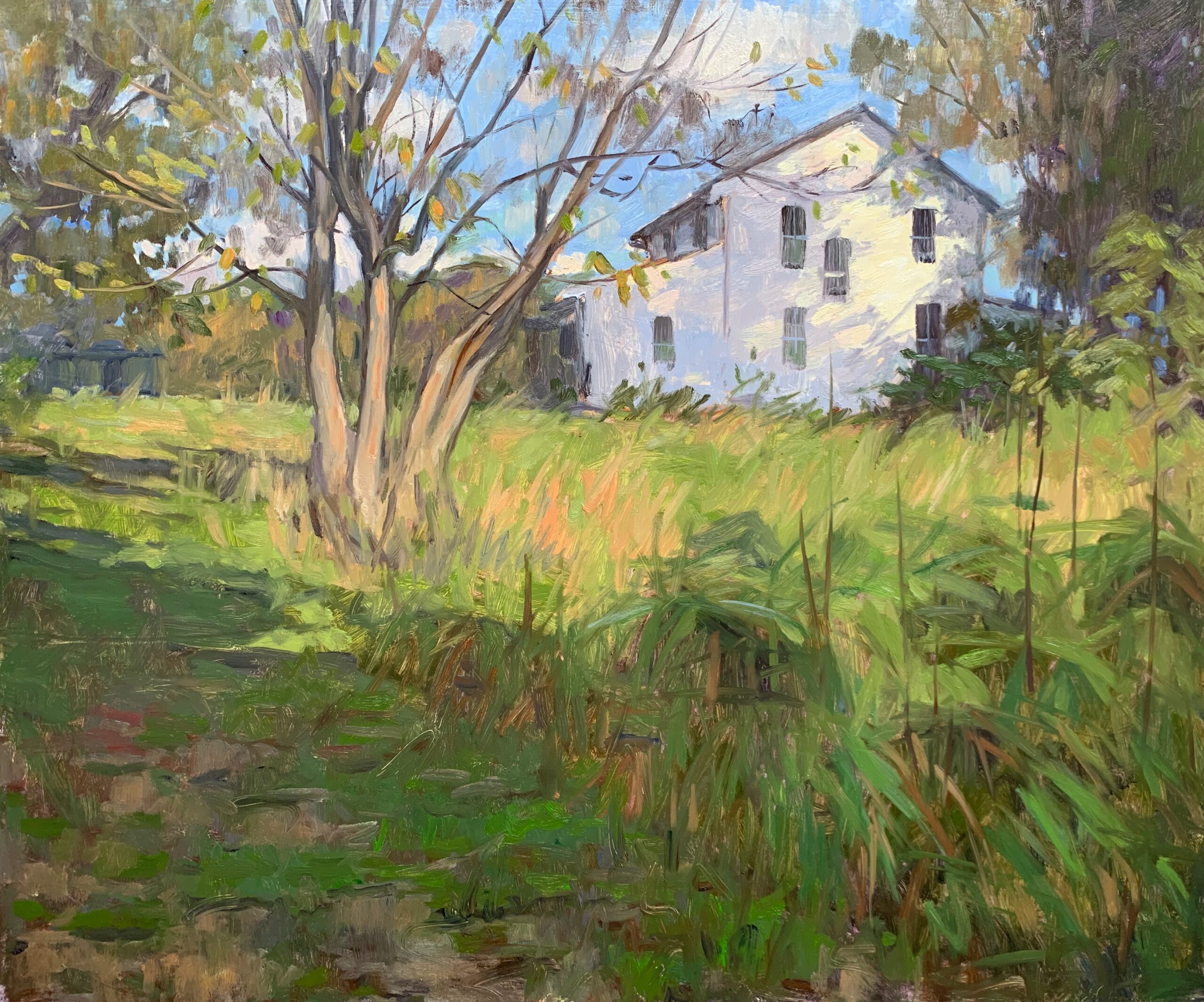 Alison Barry, "Late Fall," 2022, oil, 20 x 24 in., Available from the artist, Plein air