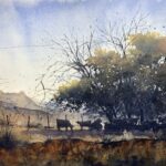 The Value in Taking a Second (or Third) Look "Haven" by Tim Oliver