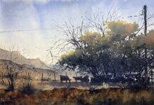 "Haven" by Tim Oliver