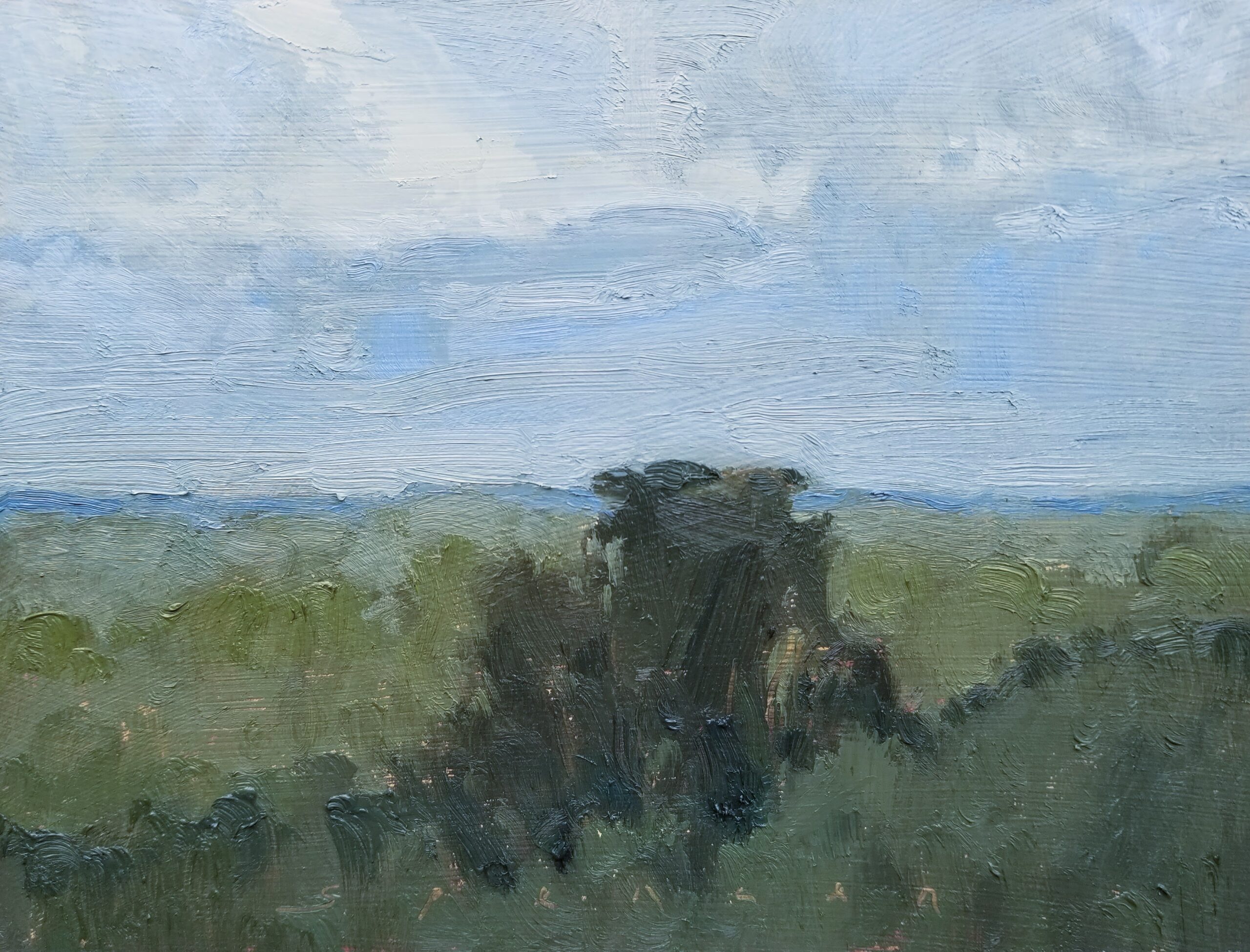 Erin Spencer, "Pearly Skies," 2021, oil, 6 x 8 in., Available from artist, Plein air