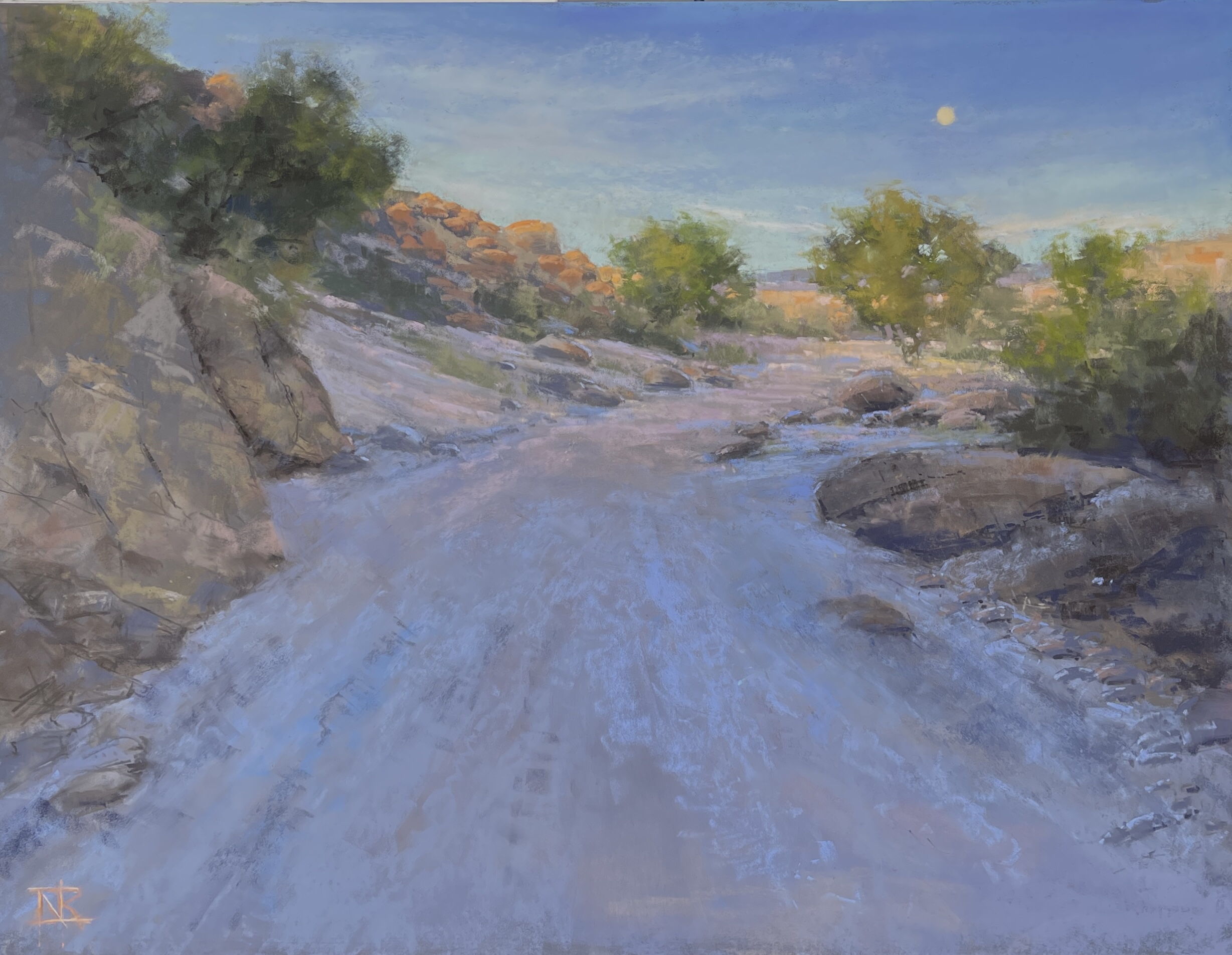 Award of Excellence / Best Pastel: “Borrego in the Nude Wash” by Natalie Richards