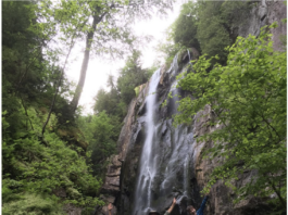 Painting plein air - artist retreats - Publisher's Invitational Adirondacks