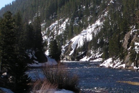 Photo Reference of the Snake River Scene