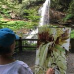 Plein air painting in North Carolina