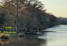 One Day in Bayou Country