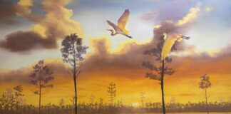 Shawn Dell Joyce, "Golden Hour," 16 x 20 in., Pastel on Board