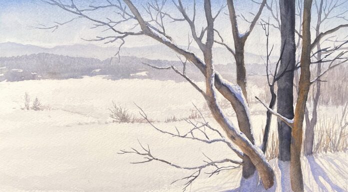 Winter painting with snow - 9. Susan Lynn, "Winter Shadows," 2024, watercolor, 9 x 12 in., Available from artist, Studio from plein air study