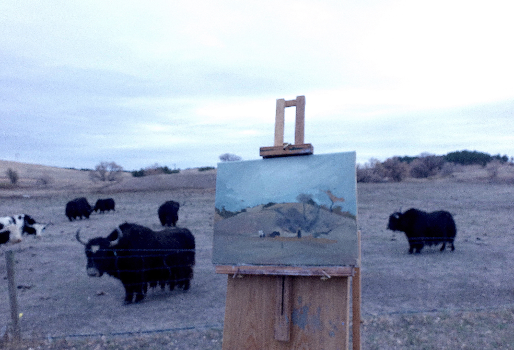 A work in progress on my easel at a yak ranch in Chadron, NE.