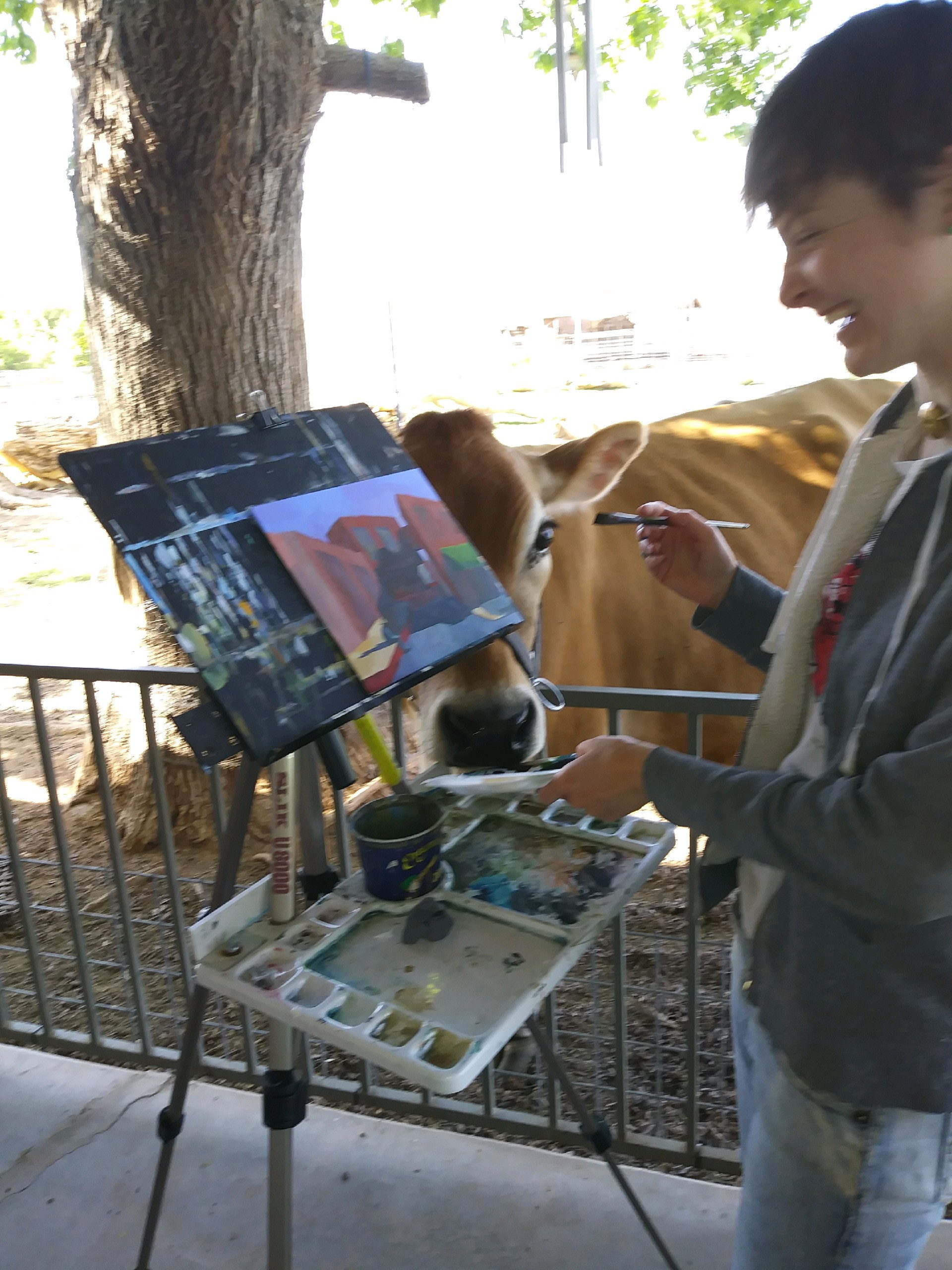 Painting road trip - A cow on a dairy farm in Phoenix, AZ was very interested in some paints!