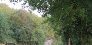 French plein air painter Sophie Amauger