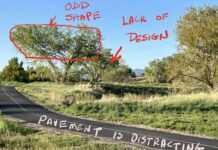 Some problem areas that needed attention for the landscape painting