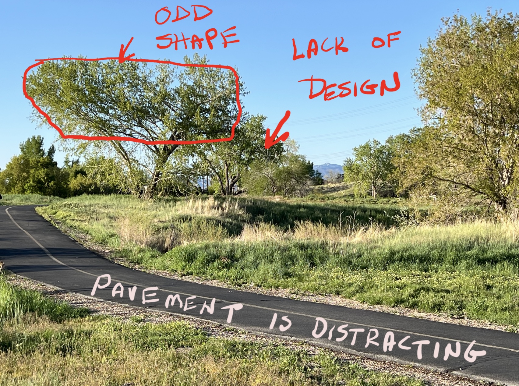 Some problem areas that needed attention for the landscape painting