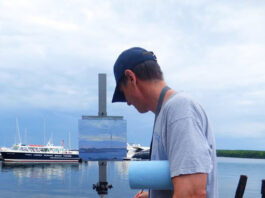 Plein air painter Brian Sindler