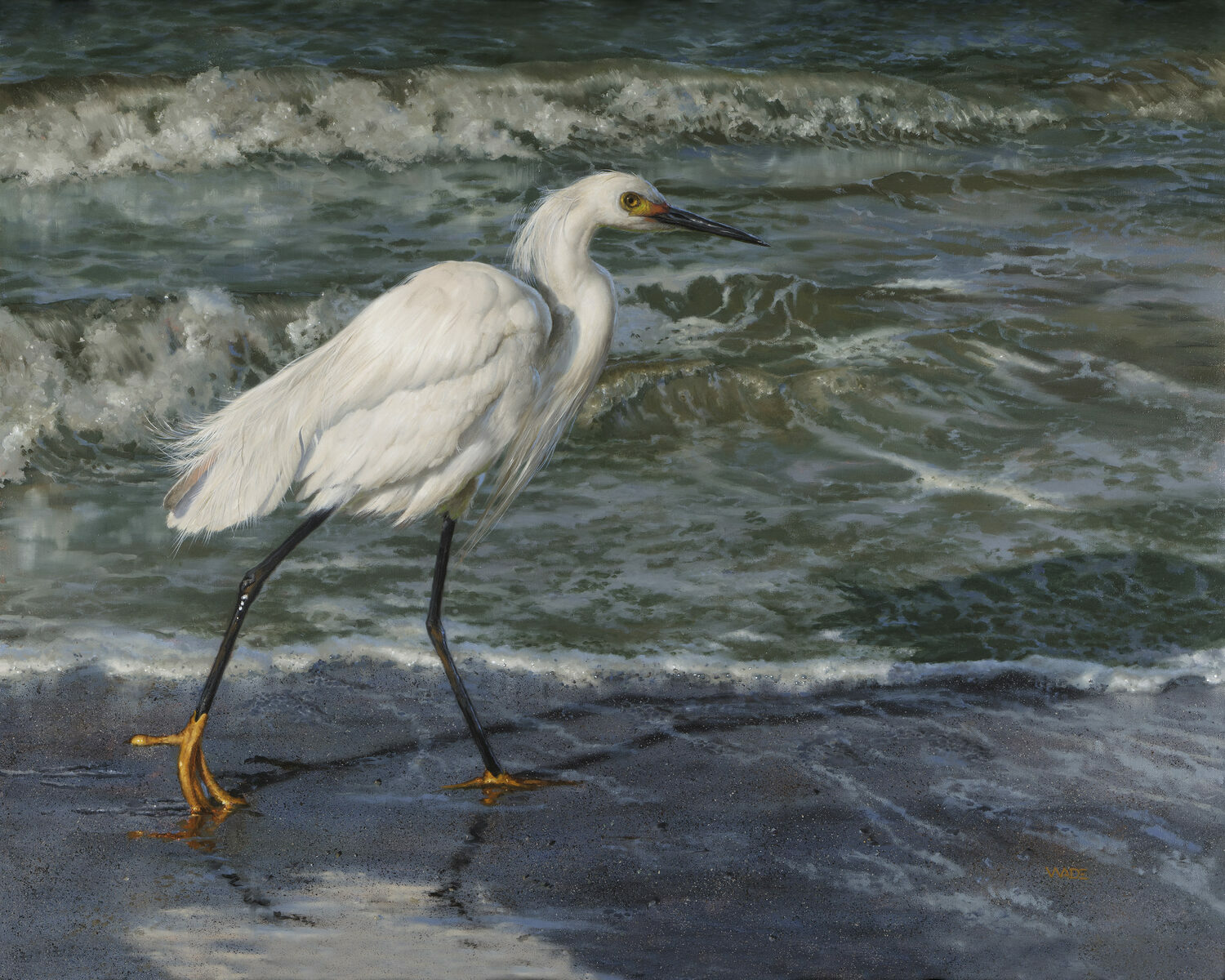 A white egret with yellow feet walks along the wet, sandy shore near foamy ocean waves, its feathers ruffled by the breeze. 15th Annual PleinAir Salon Art Competition