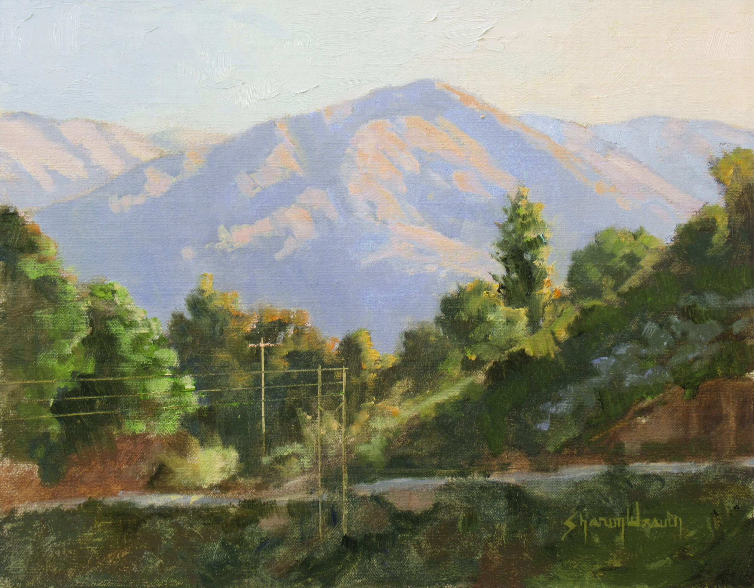 Sharon Weaver, “Morning Sunlight,” 2024, oil, 11 x 14 in., Private collection, Plein air