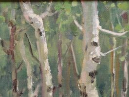 Featured Artwork: Jacqui Gould