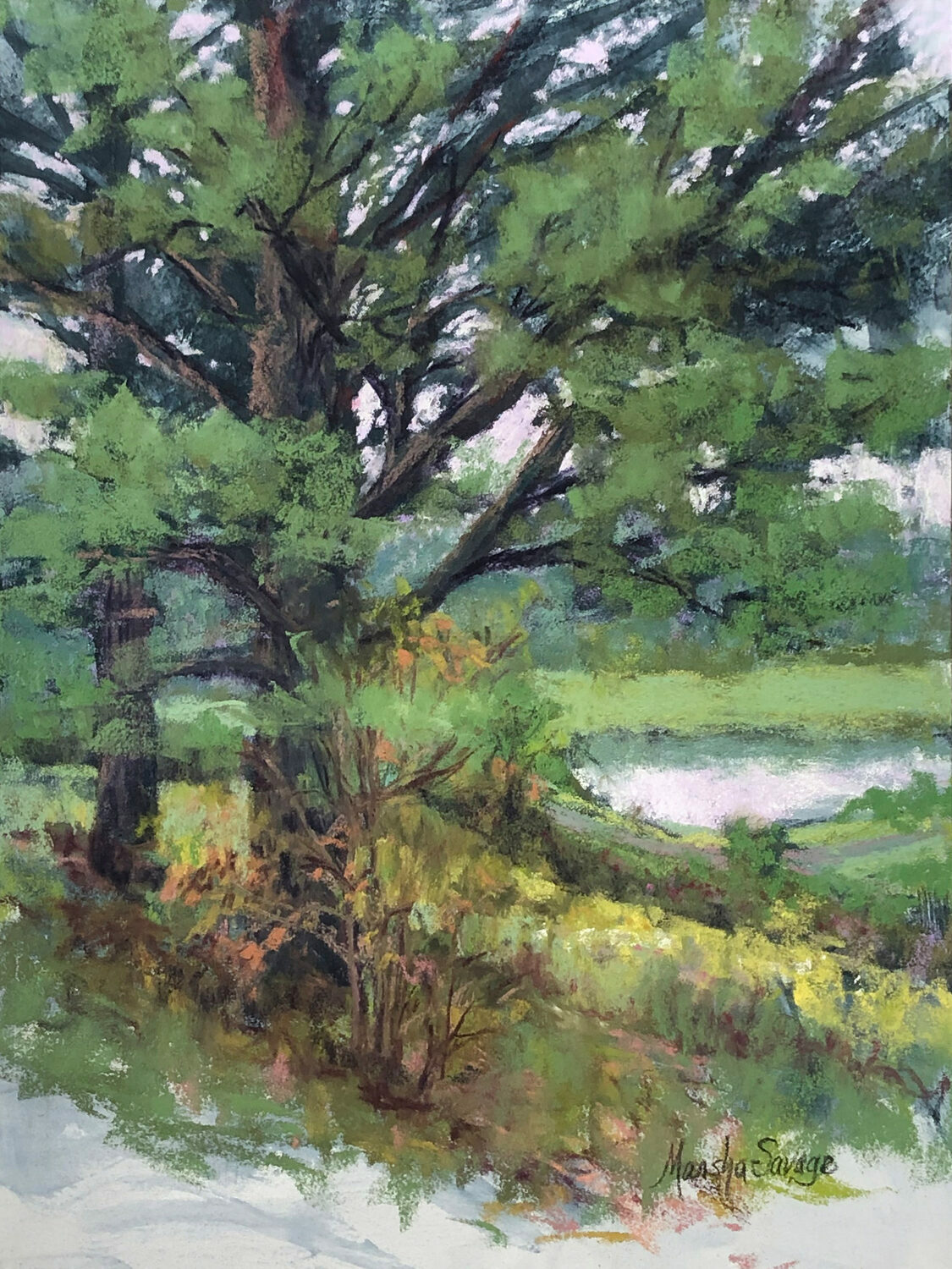 Best Plein Air Pastel: Marsha Savage, “Old Soul,” Pastel, 12x9 in.