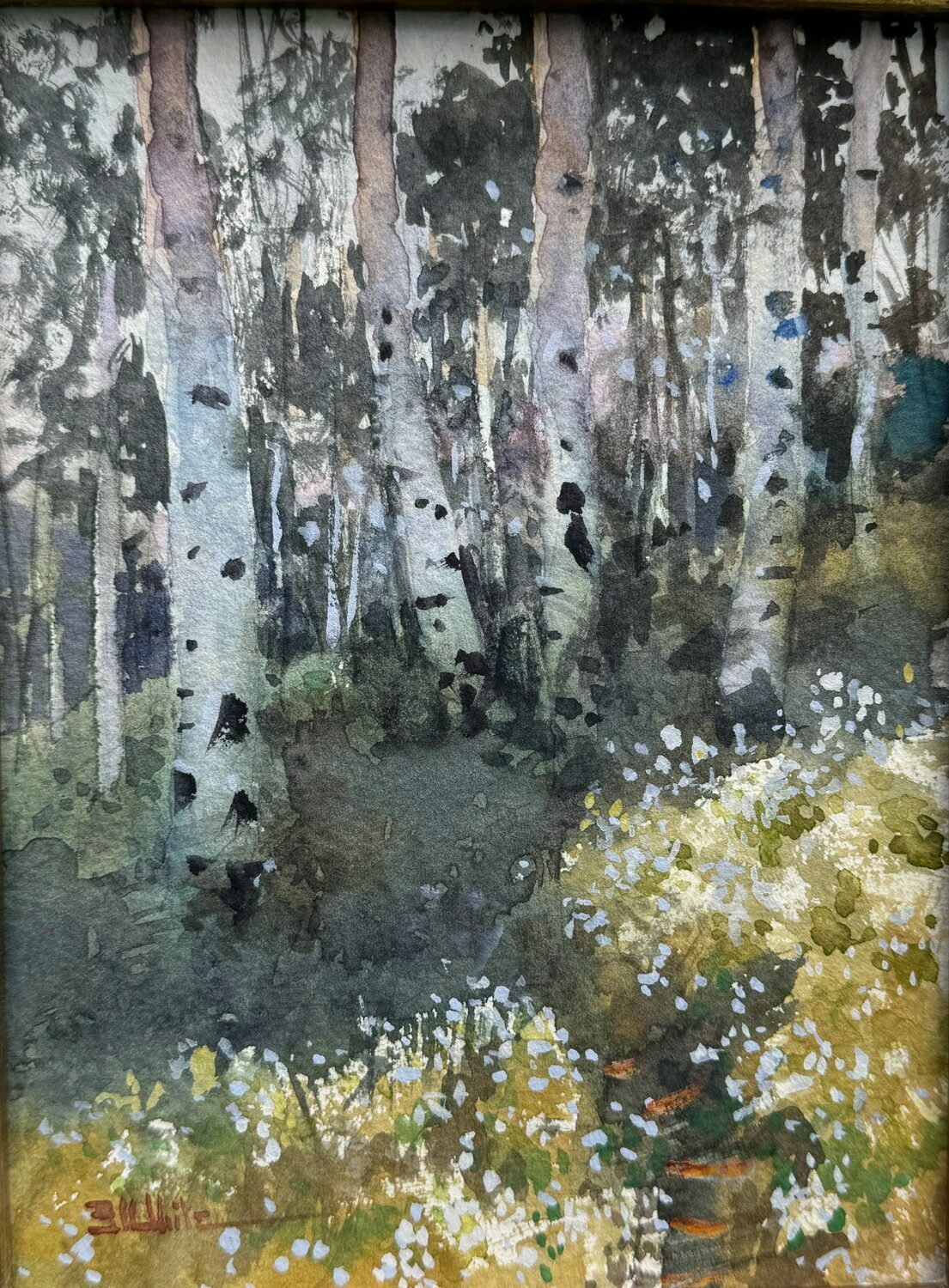 Best Plein Air Watercolor: Stewart White, "Aspen Grove," 10 x 8 in.