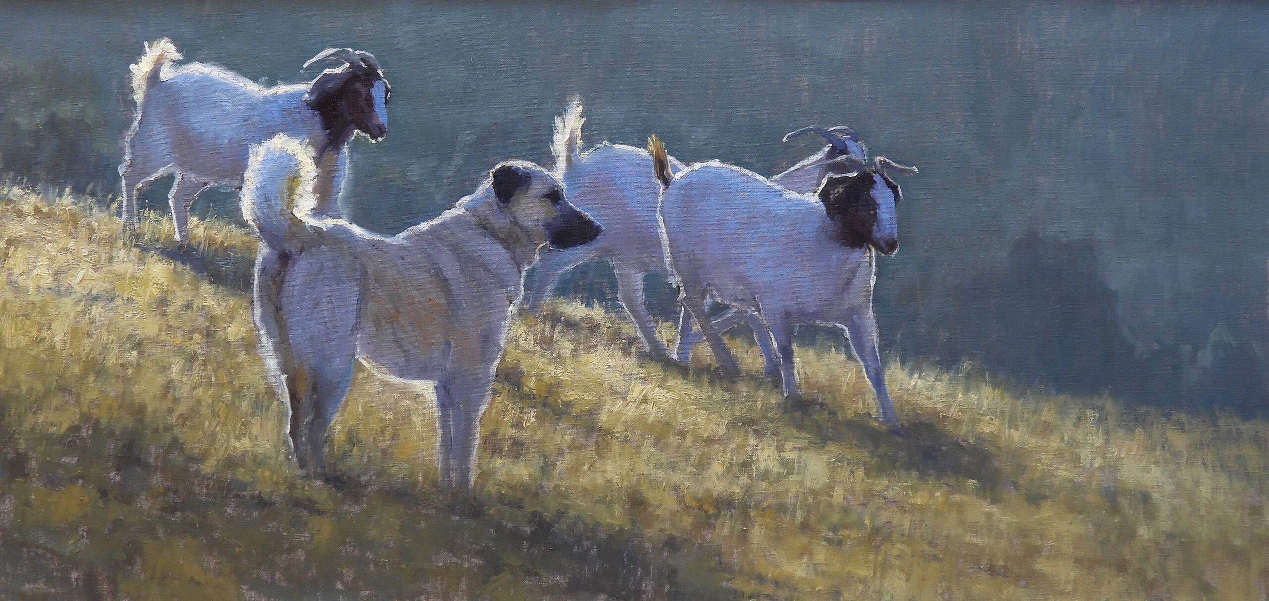 Kathleen Dunphy, “Guardian,” 2024, oil, 18 x 36 in., Private collection, Studio from plein air studies 