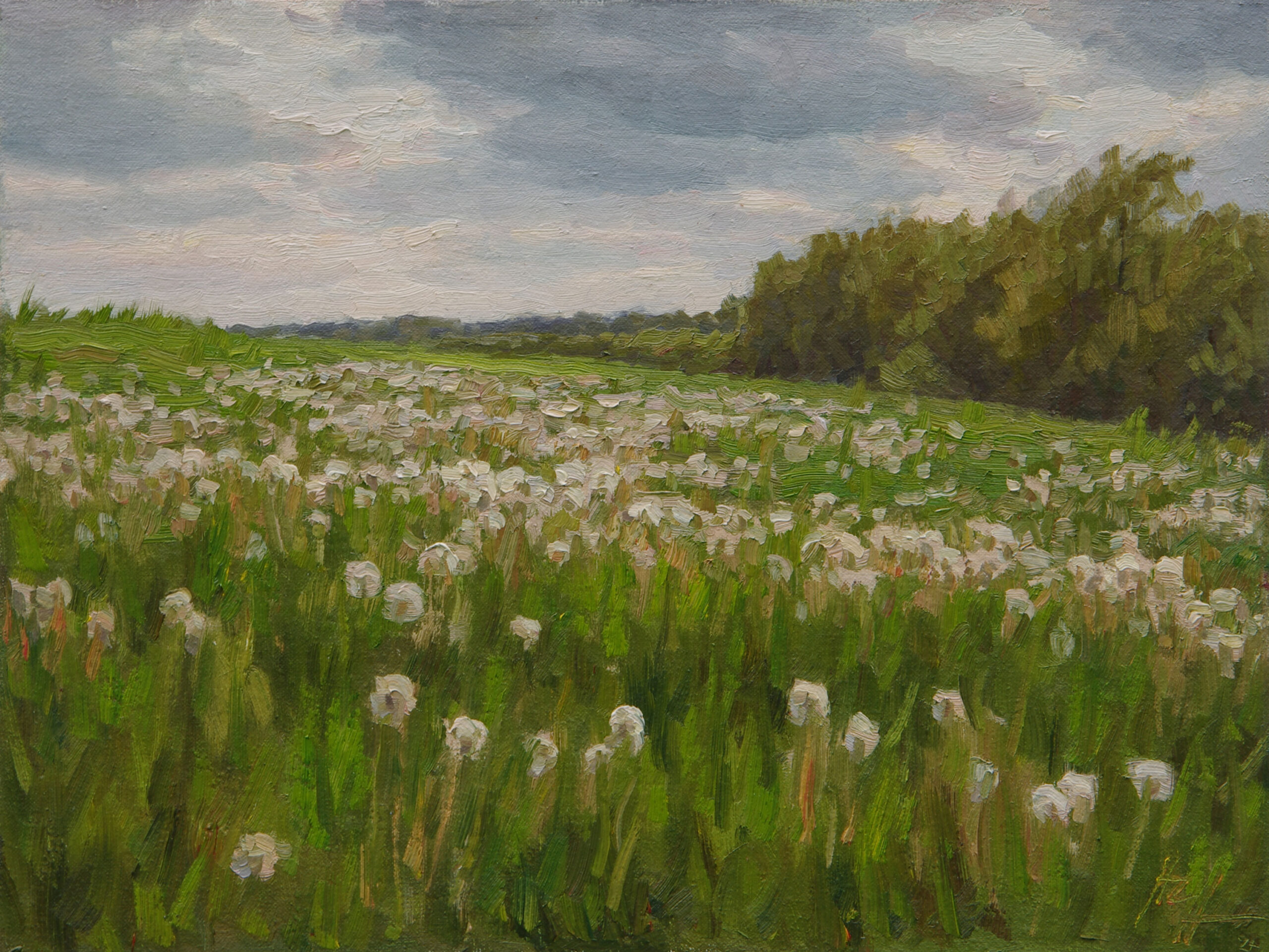 Hannah C. Heyer, "A Wish and a Prayer, field study," 2024, oil, 9 x 12 in., available from the artist, plein air