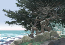 landscape painting compositions - There are few, if any, straight lines to be found in nature. In this illustration, I’ve exaggerated the concave and convex shapes.