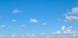 Marc Hanson painting on location